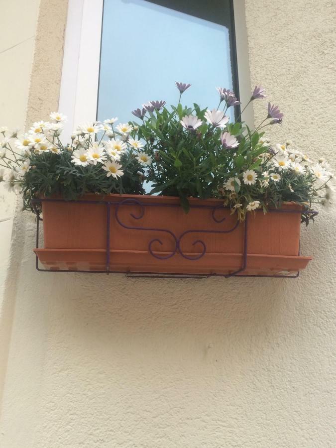 Simple Room In Luxembourg City ภายนอก รูปภาพ